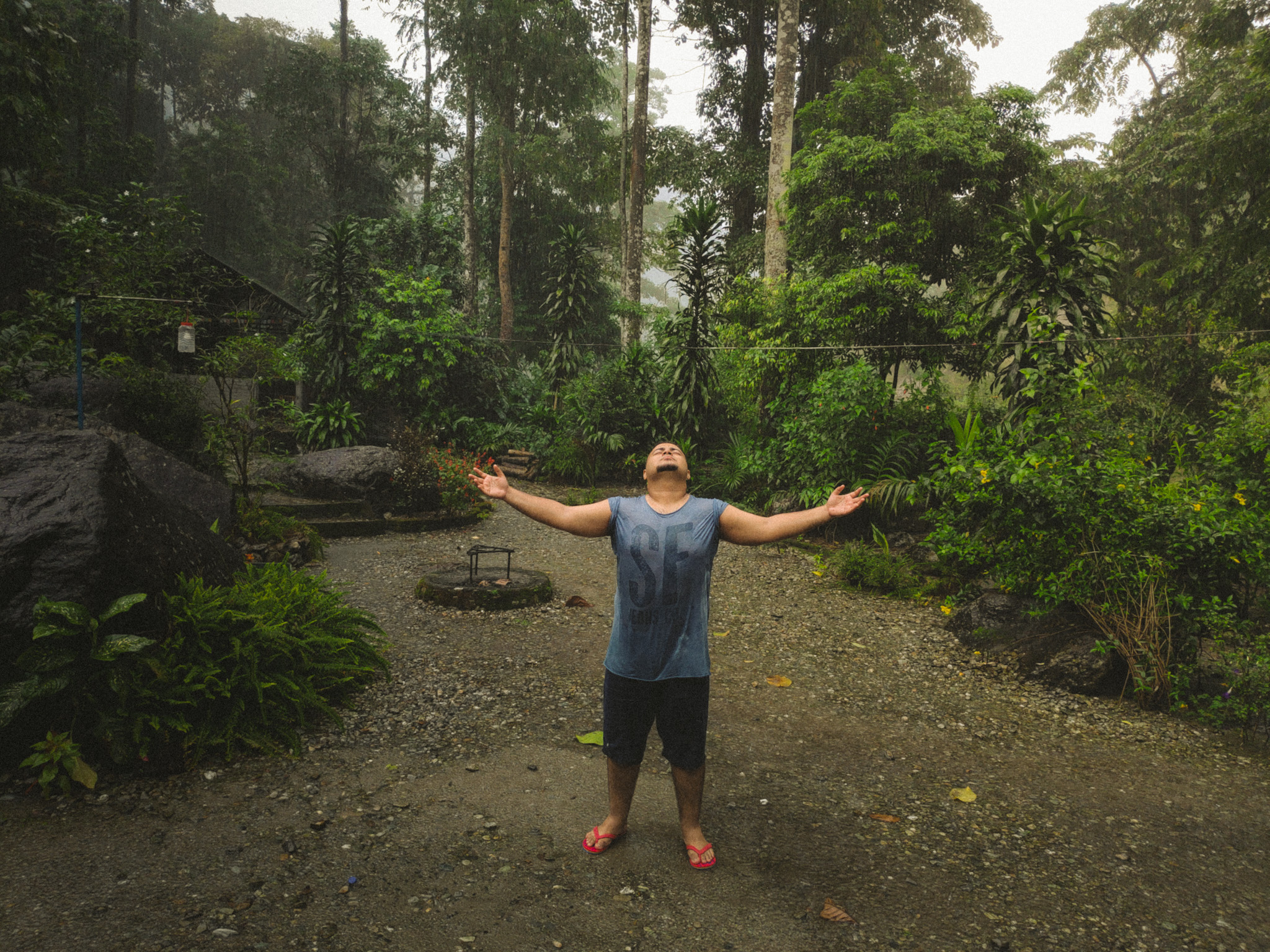 Udvas in nature - Peace journey